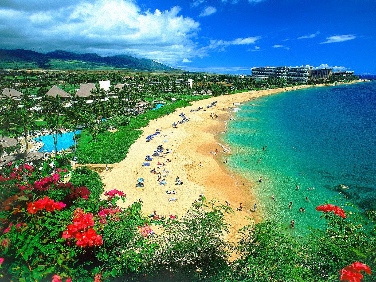 Vista de una playa de Hawaï