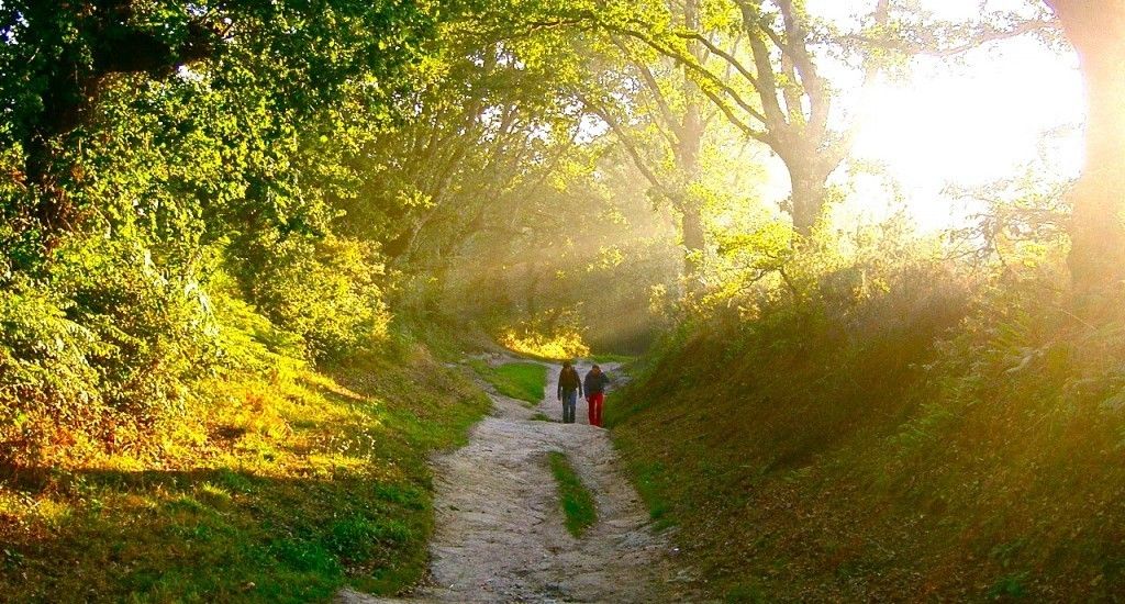 Camino de Santiago