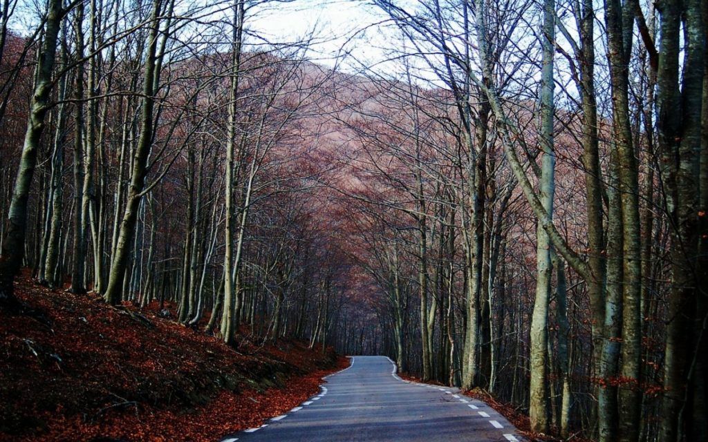 Parque Nacional de Montseny