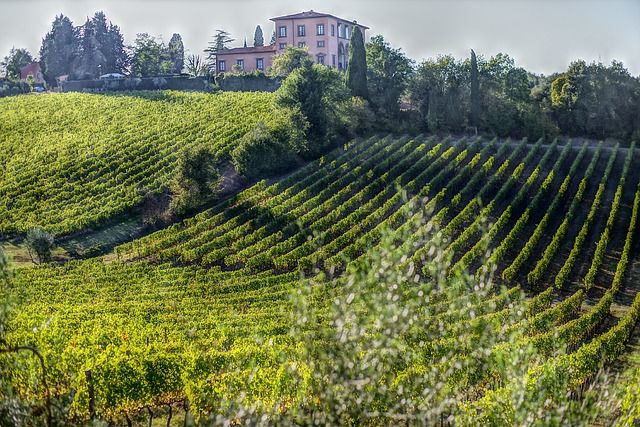 alt vino volterra, title vino volterra