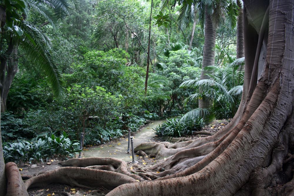 jardin botanico malaga