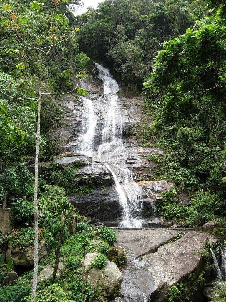 Alt parque-nacional-de-tijuca-brasil-rio-de-janeiro, title parque-nacional-de-tijuca-brasil-rio-de-janeiro