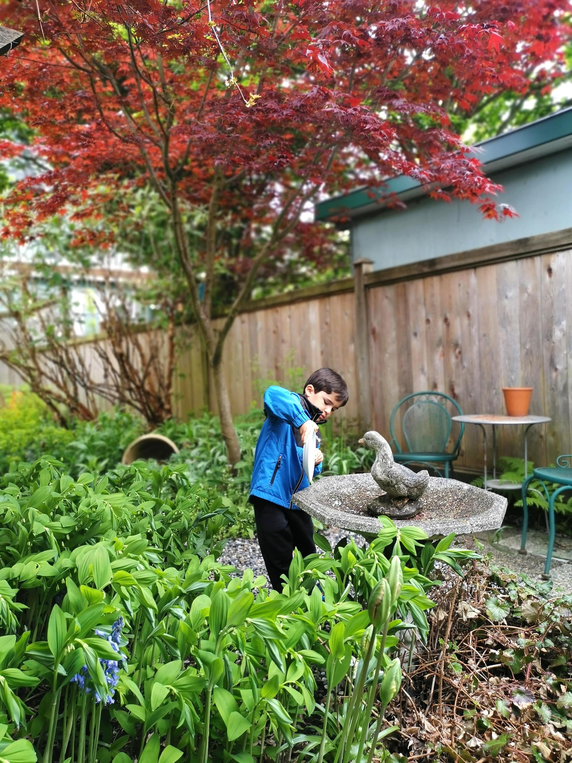 cuidando el jardín durante un intercambio de casas en california
