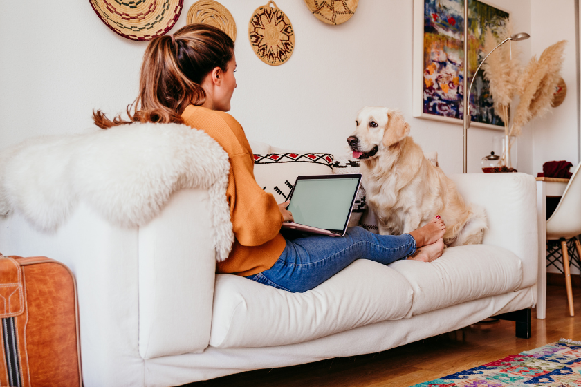 quiero alquilar una habitación de mi casa alternativa HomeExchange