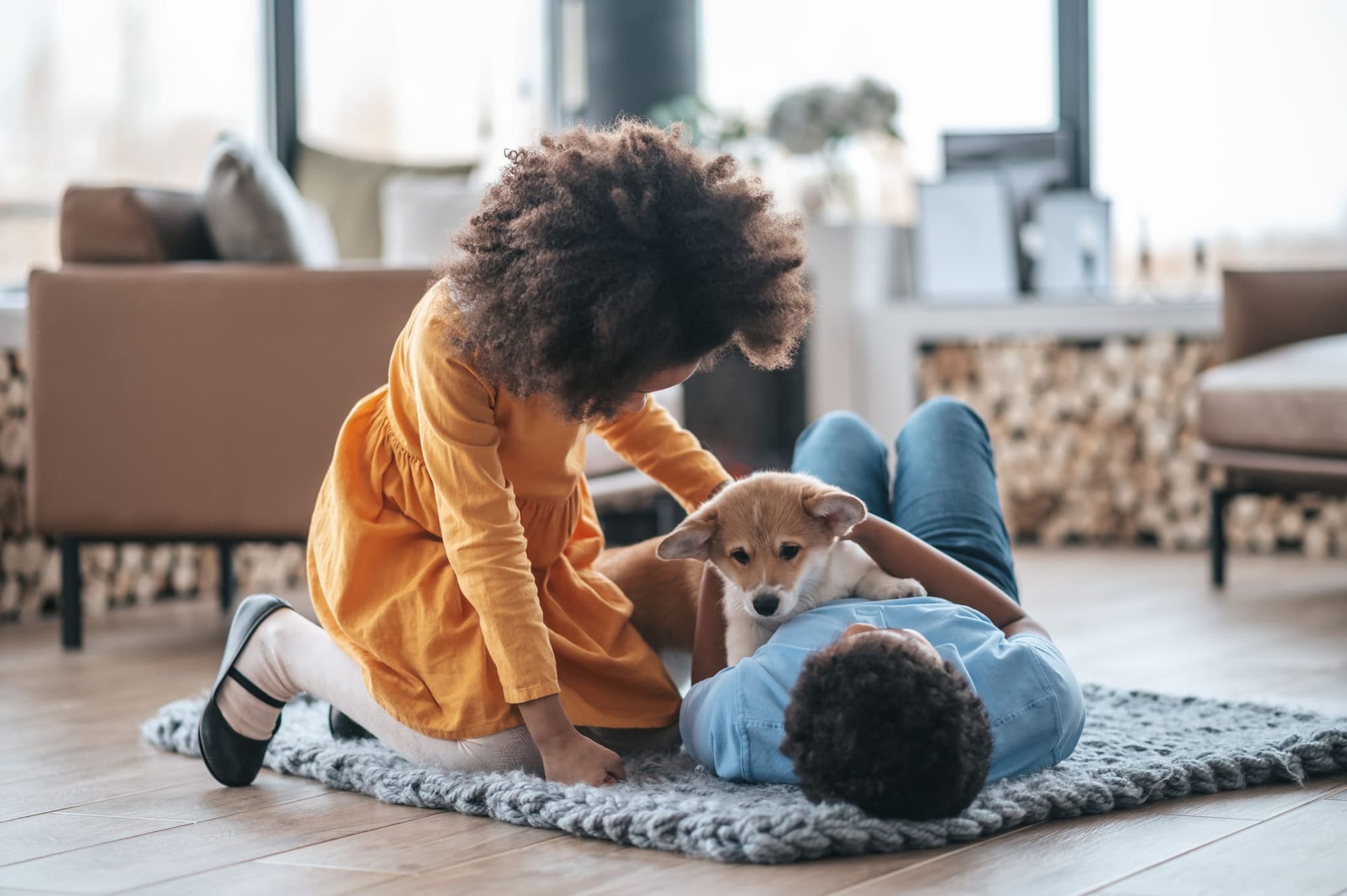 Niños jugando con un perro en casa: cuidado de mascotas gracias al intercambio de casas